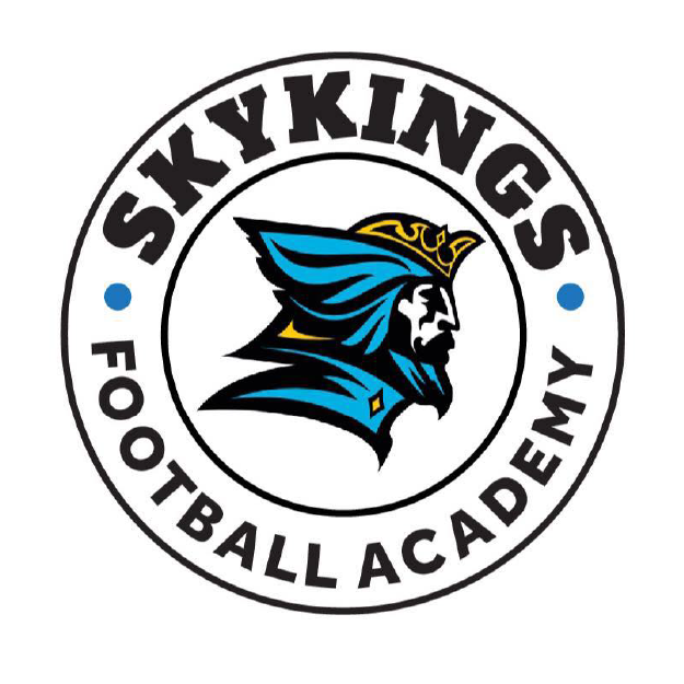 https://affiindia.com/wp-content/uploads/2023/08/SKYKINGS-LOGO.png